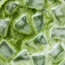 Iced Matcha Latte