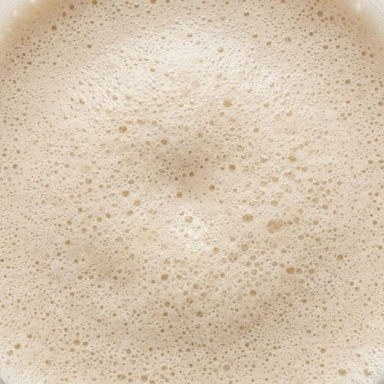Protein-Shake-Abo