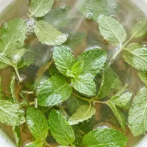 Tee Pfefferminze
